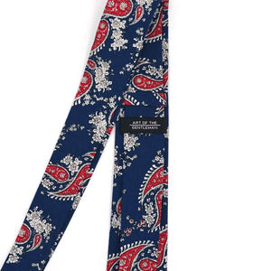 Paisley Navy Tie